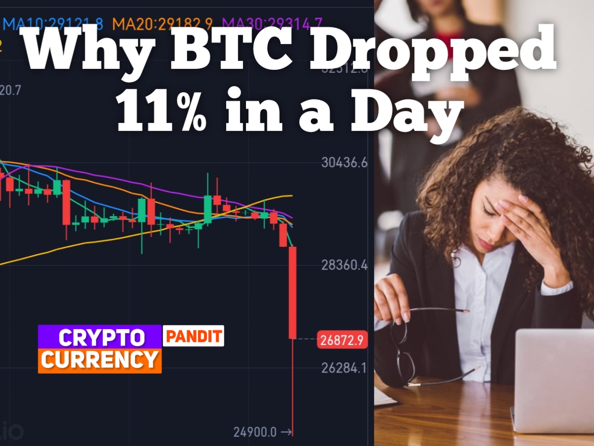 why BTC dropped today why Bitcoin is dropping biggest-bitcoin-drop-since-nov-2022